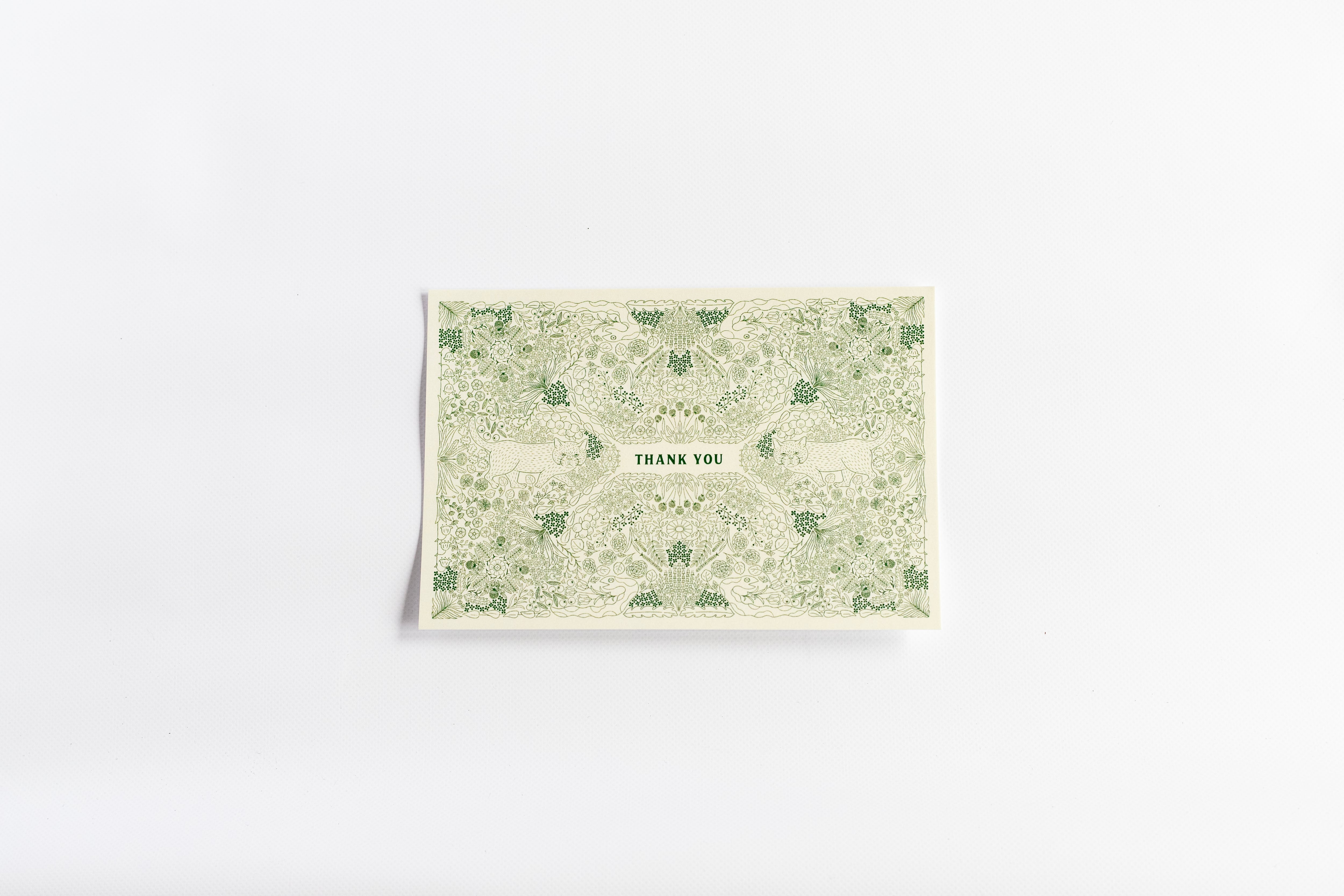 山猫瓶詰研究所　ポストカード　THANK YOU